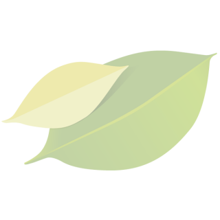 Kokosdrink mit Agavendicksaft