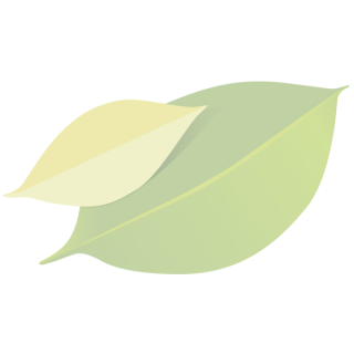 Aloe Vera Gel Floresta